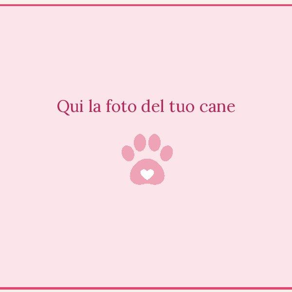 Il Libro dei Giochi per il tuo Cane