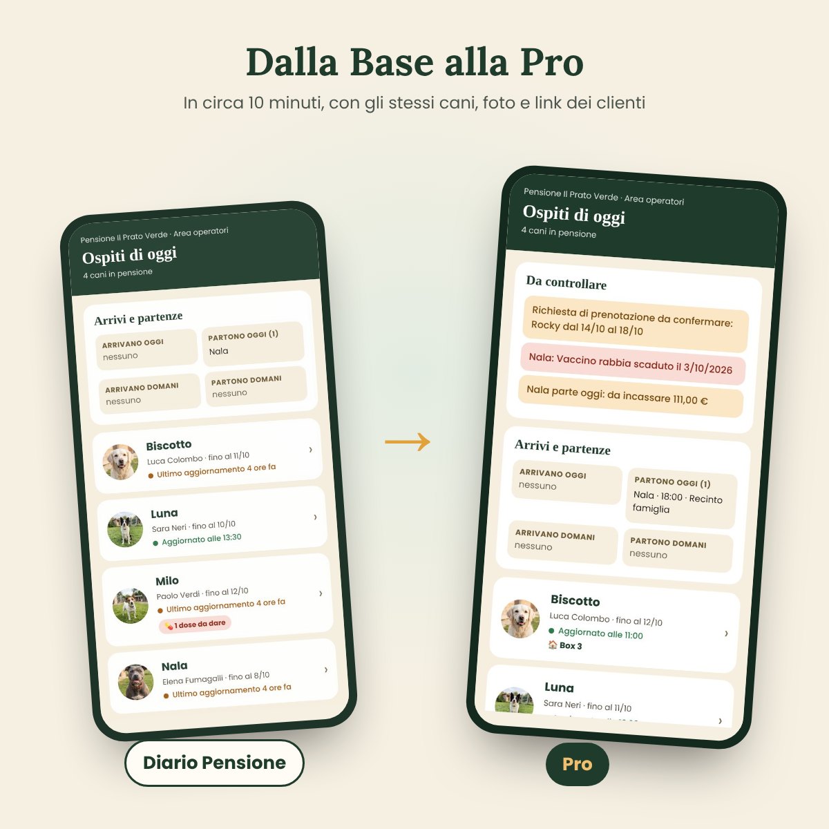 Aggiornamento a Diario Pensione Pro