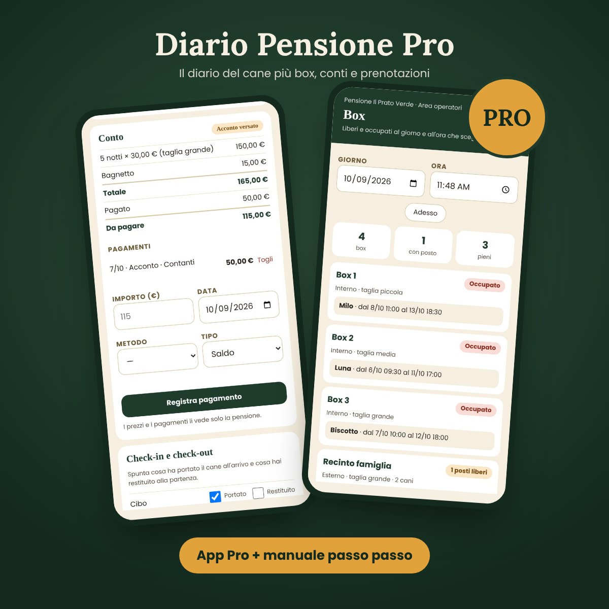 Diario Pensione Pro